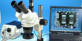 Optische Mikroskope und Binokulare
